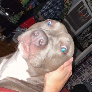 Meet your Posher, Cole